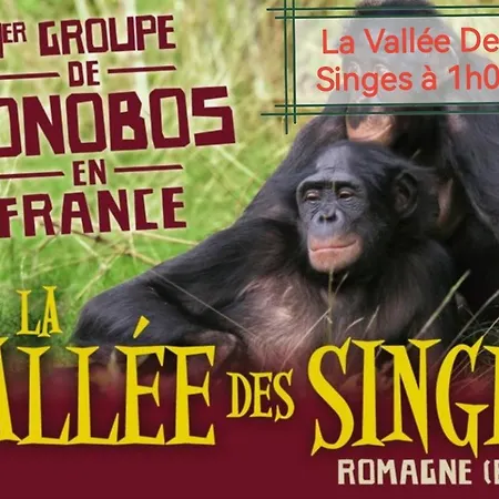 Vakantiehuis De Charme Dans Un Cadre Calme Et Reposant *