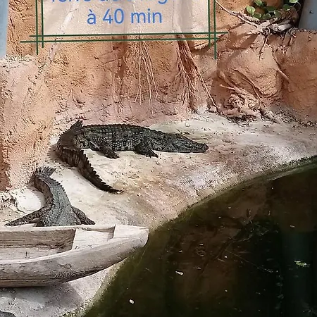 De Charme Dans Un Cadre Calme Et Reposant Châtellerault