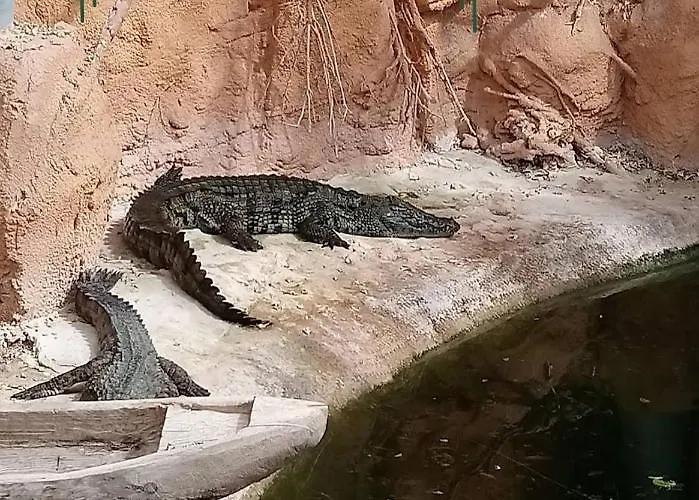 De Charme Dans Un Cadre Calme Et Reposant Châtellerault